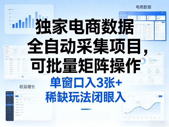 独家电商数据全自动采集项目，可批量矩阵操作，单窗口日入3张+，稀缺玩法闭眼入【揭秘】-开心分享网