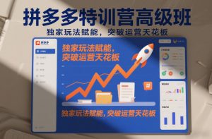 拼多多特训营高阶班，独家玩法赋能，突破运营天花板（更新26年3月13日）-开心分享网