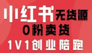 小红书无货源0粉电商课,开店准备、选品策略、笔记撰写、视频剪辑、数据分析、账号打造、资料文档(更新26年3月)-开心分享网