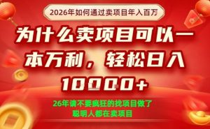 一单净利润1K+,26年想年入100个W,死磕卖项目就够了【揭秘】-开心分享网