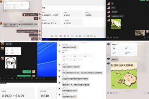 雷神加速器项目模拟器_无脑1分钟1条视频矩阵_疯狂报单打法【焚诀】-开心分享网