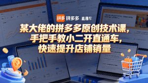 某大佬的拼多多原创技术课，手把手教小二开直通车，快速提升店铺销量-开心分享网