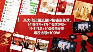某大佬超级流量IP搞钱训练营，1个微信号+1万个微信好友+1个主打品+100条朋友圈-短视选题=100W-开心分享网