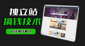 干货来袭！麦子甜带你吃透独立站｜从搭建到引流一站式教学《独立站》第一期-开心分享网