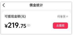 AI图文带货项目，操作2周卖出37件，已结算佣金219-开心分享网