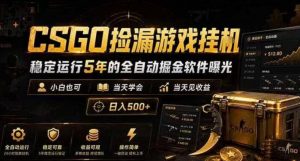 CSGO捡漏游戏挂G，稳定运行5年的全自动掘金软件曝光，小白也可当天学会，当天见收益，日入500+【揭秘】-开心分享网