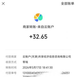 微信游戏撸广独家玩法,今天做明天就能出收益,单号日收益20+,可多号矩阵放大-开心分享网