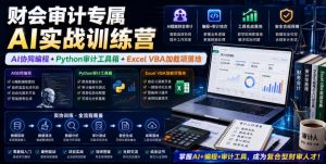 财会审计专属AI实战训练营｜AI协同编程+Python审计工具箱+Excel VBA加载项落地（更新0816）-开心分享网