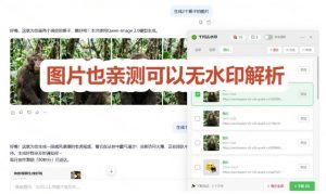 太香了！这款千问视频/图片去水印神器，一键搞定烦人水印，本地完全免费，浏览器拓展插件-开心分享网