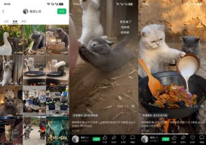 猫咪慢生活短视频教学，AI搞笑萌宠赛道，视频号分成+精选独家+伙伴计划+商单收徒等多种变现方式-开心分享网