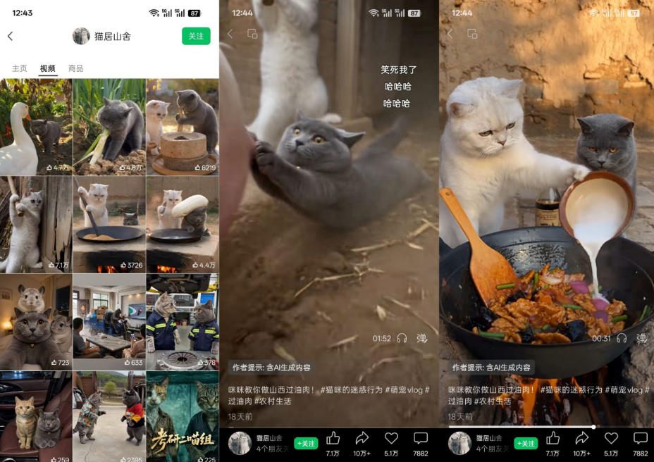 猫咪慢生活短视频教学，AI搞笑萌宠赛道，视频号分成+精选独家+伙伴计划+商单收徒等多种变现方式-开心分享网