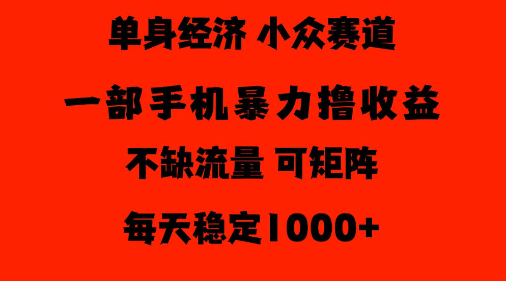 26年暴力单身经济，稳定日入500-1k，不缺流量，流量极大，冷门小众赛道，门槛低小白轻松上手【揭秘】-开心分享网