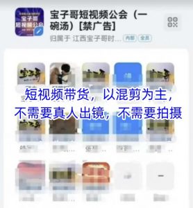 宝子哥头部团队短视频带货，以混剪为主，不需要真人出镜，不需要拍摄【更新11月】-开心分享网