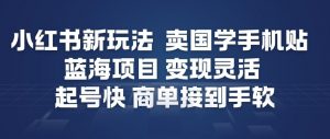 小红书新玩法，卖国学手机贴，蓝海项目，变现灵活，起号快，商单接到手软-开心分享网