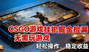 CSGO游戏挂G掘金捡漏，不需要玩游戏，操作简单，收益稳定【揭秘】-开心分享网