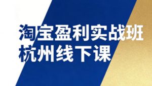 淘宝盈利实战班杭州线下课12月26-28日（音频+字幕），帮你掌握SOP流程+12门核心技术-开心分享网