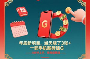 年底新项目，当天賺了3张+，一部手机搬砖挂G，5分钟上手，保姆级教程【揭秘】-开心分享网