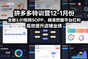 拼多多特训营12-1月份，全新3.01矩阵Sop，精准把握平台红利，高效提升店铺业绩-开心分享网
