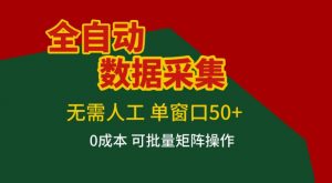 全自动数据采集，无需人工，单窗口50+，0成本可批量矩阵操作【揭秘】-开心分享网