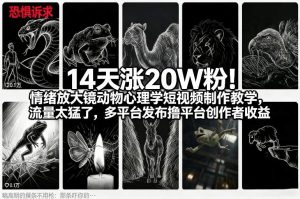 14天涨20W粉!情绪放大镜动物心理学短视频制作教学,流量太猛了,多平台发布撸平台创作者收益-开心分享网