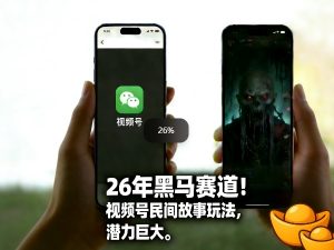 26年黑马赛道,视频号民间故事类玩法,潜力巨大,每日收益超5张-开心分享网