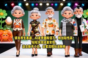 银发养生赛道，AI走秀圈粉百万，粉丝粘性高，轻松实现流量变现，适合新手小白，全套流程玩法解析-开心分享网