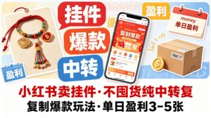 小红书卖挂件，不囤货纯中转复制爆款玩法，单日盈利3-5张-开心分享网
