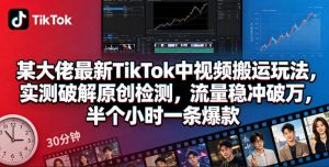 某大佬最新TikTok中视频搬运玩法，实测破解原创检测，流量稳冲破万，半个小时一条爆款-开心分享网