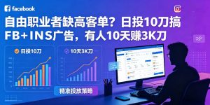 自由职业者缺高客单？日投10刀搞FB+INS广告，有人10天赚3K刀！【原创双语字幕】-开心分享网