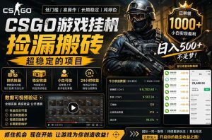CSGO游戏搬砖，全自动挂G，不需要玩游戏，手机操作日入300+，解放双手【揭秘】-开心分享网