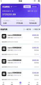 海外TikTok剪映cupcut拉新,市场广阔,潜力巨大,月入1w+,适合TK创作者的新机会-开心分享网