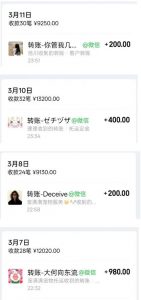 宠物托运阳光赛道賺钱教学,小众高刚需冷门项目,日均10单稳定盈利,单均利润200+-开心分享网