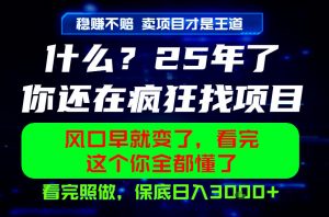 26年,请不要疯狂的找项目做了!卖项目才是真的稳賺不赔,看完照做,保底日入1k+【揭秘】-开心分享网