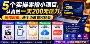 5个实操零撸小项目,认真做一天200无压力,操作简单,新手小白看完秒会【揭秘】-开心分享网