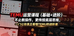 TEMU运营课程（基础+进阶），不止教操作，更传授底层思维，一门让你真正看懂TEMU的进阶课-开心分享网