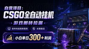 自营项目：CSGO全自动挂G，游戏搬砖捡漏，软件科技简单易用，长期稳定，小白单日300+利润【揭秘】-开心分享网