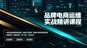 品牌电商运维实战精讲课程|吃透电商品牌落地逻辑、穿越行业周期、搭建长效变现运营体系-开心分享网