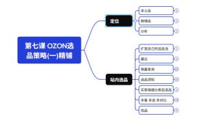 2026最新OZON全流程运营实操跨境电商平台教程,OZON全流程一站式系统学习必修课,从开店到跟卖到精铺-开心分享网