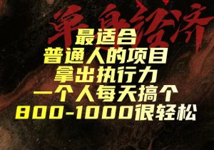 最适合普通人的项目,拿出执行力一个人每天搞个800-1k很轻松【揭秘】-开心分享网