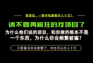 为什么做项目的人大多都是炮灰?为什么只有卖项目才能稳?看完你也可以月入10W+【揭秘】-开心分享网