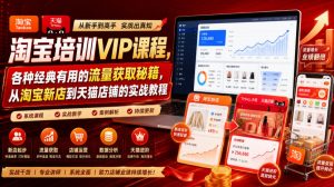 淘宝培训VIP课程,各种经典有用的流量获取秘籍,从淘宝新店到天猫店铺的实战教程(更新08月20日)-开心分享网