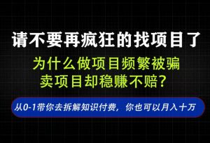 找项目?别傻了!卖项目才是真的一本万利!看完你全都懂了【揭秘】-开心分享网