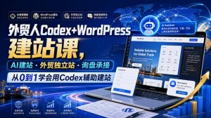 外贸人Codex+WordPress建站课,AI建站·外贸独立站·询盘承接,从0到1学会用Codex辅助建站(更新0821)-开心分享网
