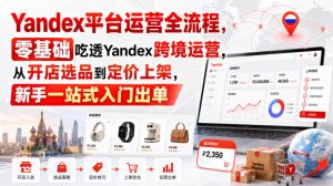 Yandex平台运营全流程,零基础吃透Yandex跨境运营,从开店选品到定价上架,新手一站式入门出单-开心分享网