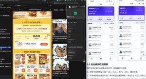 【直播课】原创思路打豆包项目,全是独家思路分析-开心分享网