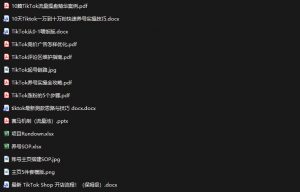 TikTok从0-1实操资料包:养号SOP+爆款公式+投流手册,新手30天可起号变现,抓住TikTok流量红利-开心分享网