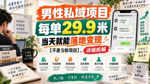 男性私域项目，每单29.9米，当天就能落地变现【不是S粉项目】，详细拆解-开心分享网