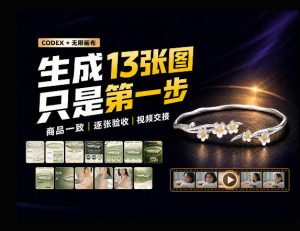 一张商品图,跑出13张电商图和15秒视频方案:这套Skill到底怎么工作?-开心分享网