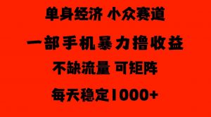 26年暴力单身经济,稳定日入500-1k,不缺流量,流量极大,冷门小众赛道,门槛低小白轻松上手【揭秘】-开心分享网