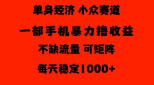 26年暴力单身经济,稳定日入500-1k,不缺流量,流量极大,冷门小众赛道,门槛低小白轻松上手【揭秘】-开心分享网